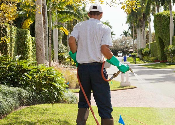 About Moundridge KS Pest Control Pros